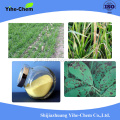 Agrochemical Fungicide Thiophanate-methyl 97%TC 70%WP 50SC